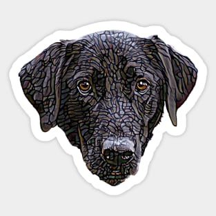 Black Labrador Retriever Face Sticker